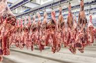 União Europeia suspende importação de carnes, ovos e mel do Brasil nesta quinta