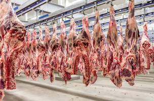 Ok (Foto: Divulgação/ Ministério da Agricultura e Pecuária)