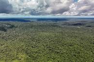 Destruição da Amazônia ameaça ciclo de chuvas em parte da América do Sul
