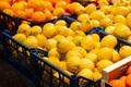 Brasil ganha espaço no mercado de alimentos, mas custos pressionam setor