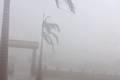 Vídeo: vendaval com ventos acima de 80 km/h causa danos em Cajazeiras do Piauí