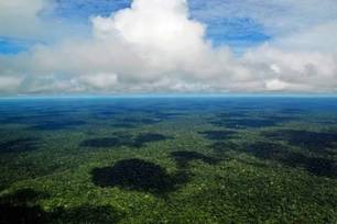 Amazônia se aproxima de ponto crítico, alerta estudo internacional