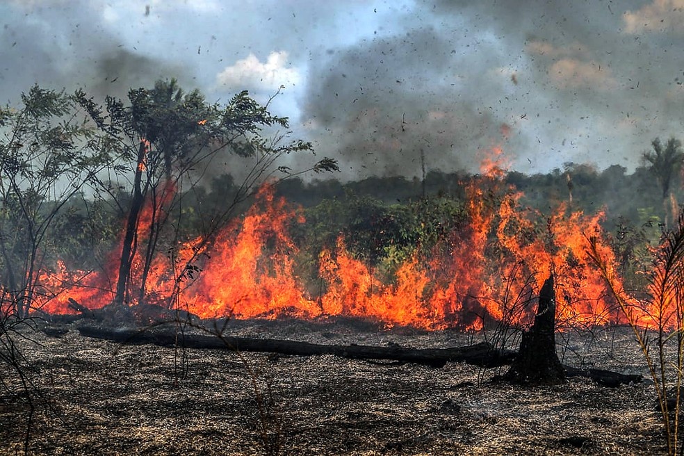 Uso do fogo é suspenso temporariamente em 12 municípios do Piauí.