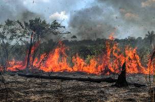 Uso do fogo é suspenso temporariamente em 12 municípios do Piauí. (Foto: Reprodução)