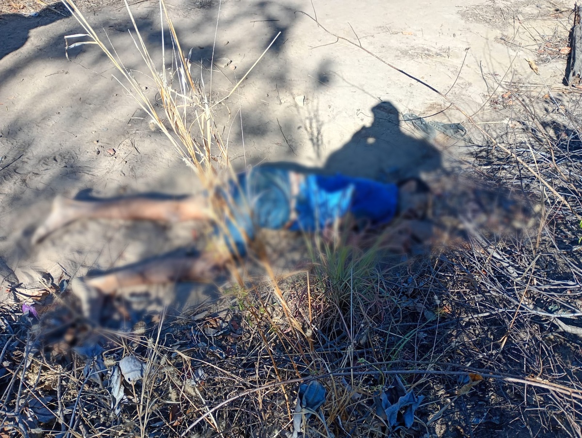 Vítima foi encontrada na manhã deste sábado (19)