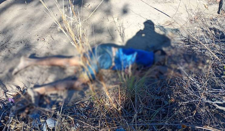 Homem é encontrado morto com marcas de tiro em estrada de Regeneração