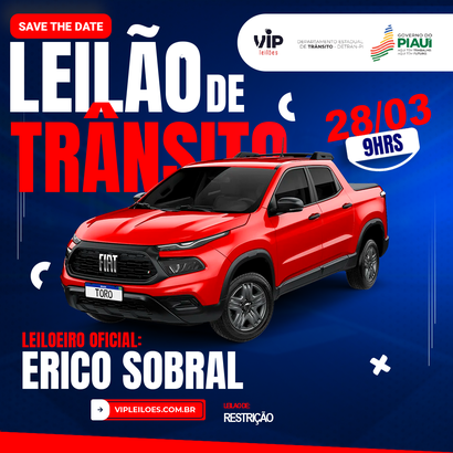 Leilão de Veículos 280325TDPIR