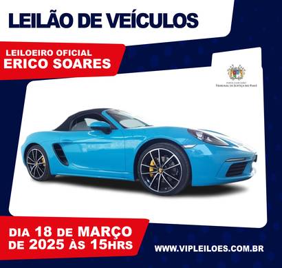 Leilão veículos 15h