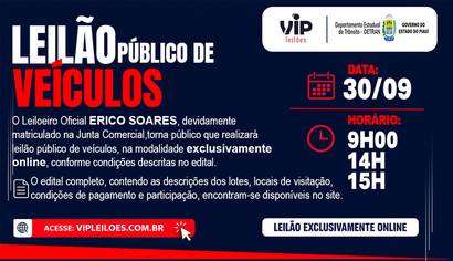 Leilão veículos