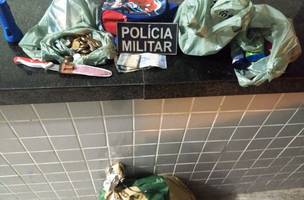Homem acusado de realizar vários arrombamentos é preso em Campo Maior (Foto: -)