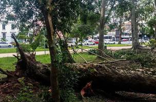 Cidades brasileiras integram programa de preservação de florestas (Foto: -)