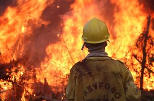 Defesa Civil elabora plano de prevenção e combate às queimadas (Foto: -)