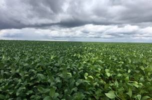 Perdas agrícolas no cerrado reduziram PIB de municípios em quase R$ 1 bi no Piauí (Foto: -)