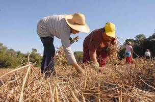 brasil rural (Foto: u)