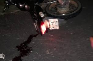 Motociclista morre ao colidir contra animal em rodovia (Foto: -)