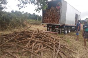 Semar apreende carretas com madeira extraída de forma ilegal (Foto: -)