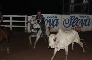 ExpoTeresina promoverá vaquejada com premiação em dinheiro (Foto: -)