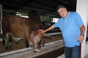 Fazenda JM participará do leilão de raças nobres da ExpoTeresina nesta sexta-feira (Foto: -)