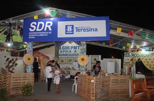 Feira Agroecológica comercializa produtos sem agrotóxicos na III ExpoTeresina (Foto: -)