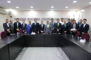 Ajuspi firma parceria institucional com OAB-PI (Foto: -)