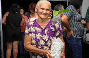 Mais de 400 mudas de árvores são distribuídas em São Raimundo Nonato e Cel. José Dias (Foto: -)