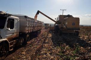 Mudança climática ameaça produção de alimentos, alerta ONU (Foto: -)