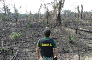 Fim do Fundo Amazônia pode afetar fiscalização do Ibama contra o desmatamento (Foto: -)