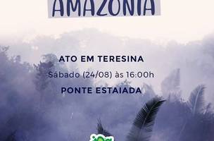 Manifestação em defesa da Amazônia acontece neste sábado em Teresina (Foto: -)