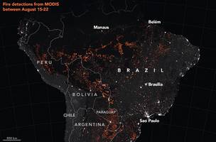 Nasa diz que 2019 é o pior ano de queimadas na Amazônia brasileira desde 2010 (Foto: -)