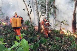 G7 libera R$ 91 milhões para combater queimadas na Amazônia (Foto: -)