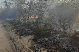 Ibama autoriza contratação de brigadistas para combater incêndios no Piauí (Foto: -)