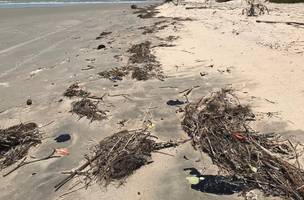 Manchas de óleo atingem praia no Piauí e equipe de inspeção naval analisa danos ambientais (Foto: -)