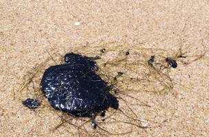 Marinha confirma novos registros de manchas de óleo em mais praias piauienses (Foto: -)