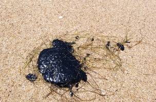 Mais de uma tonelada de resíduo de óleo é retirado em apenas um dia em praias do Piauí (Foto: -)