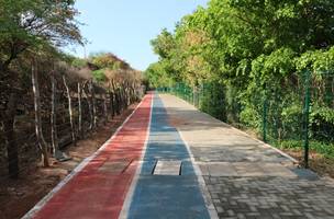 Vândalos causam destruição, furtam afiação e deixam parte do Parque Ambiental no escuro (Foto: -)