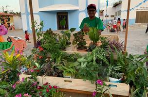 Feira de Produtores Locais é um dos espaços mais visitados da Vila Begê Sabor e Sol (Foto: -)