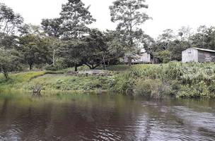 Pesquisa descobre ilhas construídas por indígenas na Amazônia (Foto: -)