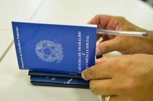 Sine Piauí seleciona candidatos para preenchimento de 35 vagas de emprego (Foto: -)