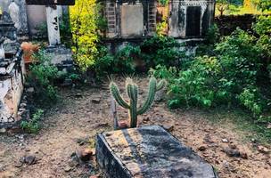 Prefeitura enviará Projeto de Lei de tombamento de cemitério em Simplício Mendes (Foto: -)