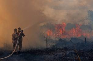 Desmatamento na Amazônia salta 64% em abril, diz Inpe (Foto: -)