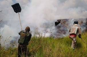 Governo dá início à Operação Verde Brasil 2 (Foto: -)