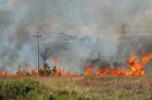 Instituto mostra crescimento nos focos de incêndio nos primeiros 14 dias de agosto (Foto: -)