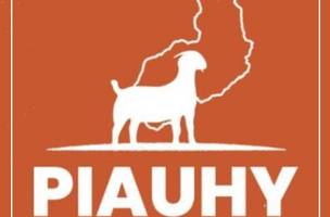 Ajuspi e Piauhy Cozinha Regional firmam parceria com 10% de desconto para associados (Foto: -)