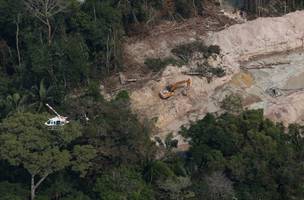 Servidores enviarão dossiê contra política ambiental de Bolsonaro à ONU (Foto: -)