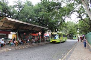 Ônibus voltam a circular com 50% da frota aos domingos em Teresina (Foto: -)