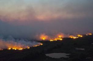 PF aponta que fogo que destruiu parte do Pantanal começou em fazendas (Foto: -)