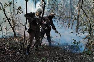 Força Nacional vai reforçar combate aos incêndios no Pantanal (Foto: -)