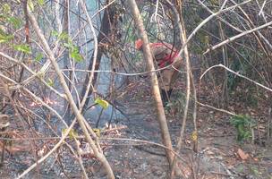 Incêndio na Chapada dos Veadeiros é extinto após cerca de duas semanas (Foto: -)