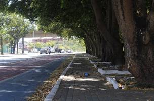 Teresina registra 45,3% de isolamento no domingo e fica em terceiro lugar no ranking nacional (Foto: -)