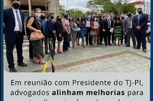 Em reunião com Presidente do TJ-PI, advogados alinham melhorias para atendimento dos advogados (Foto: -)